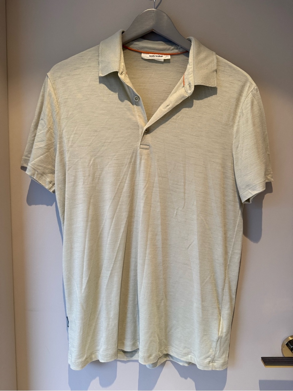 Icebreaker Men's Polo Shirt in Light Sage